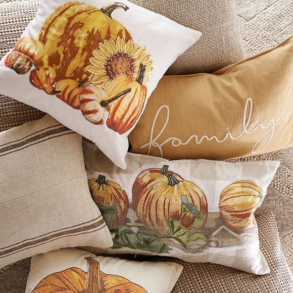 New Pottery Barn Fall Pumpkin Patch Appliqué Check Lumbar Pillow Cover, 16X26 - Picture 5 of 11